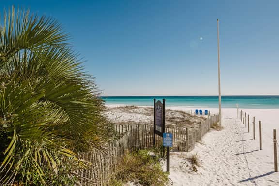 Dolphin Dreams- Walk to the beach!